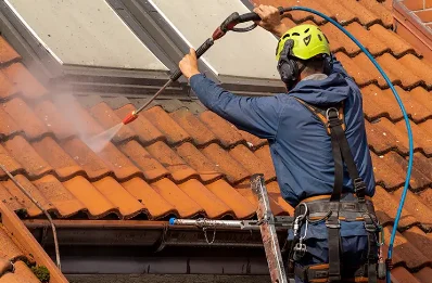 Démoussage et hydrofuge de toiture à Bizous